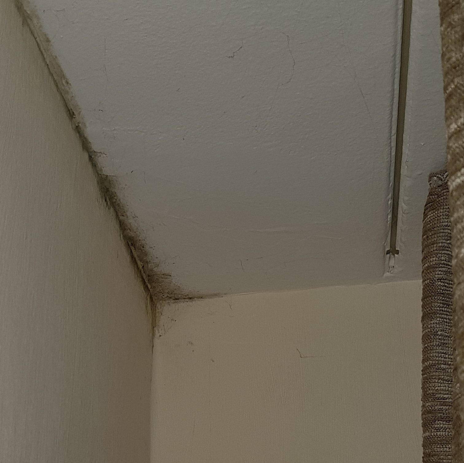 Wie kann ich Schimmel in meiner Wohnung vermeiden? Dr. Breit